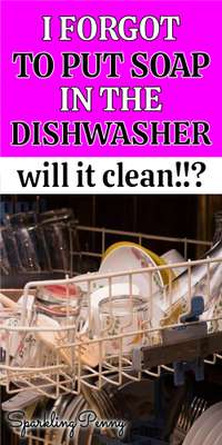 I Forgot To Put Soap In The Dishwasher - Will It Clean?